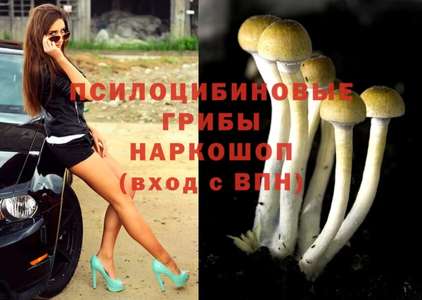 прущий лед Алексин