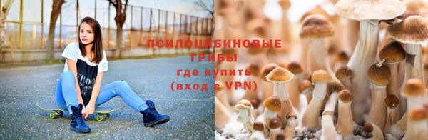 прущий лед Алексин