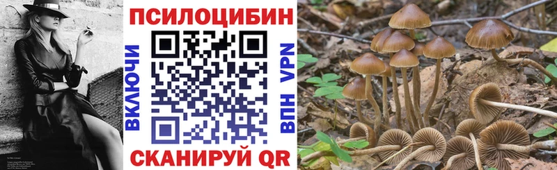 Псилоцибиновые грибы Magic Shrooms  hydra   Иркутск 